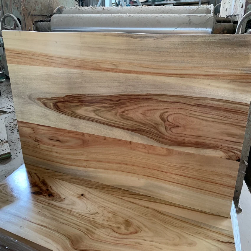factory directly sell  camphor wood  live edge   coffee table