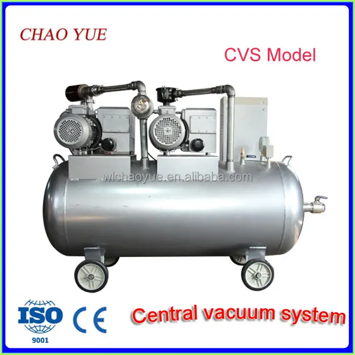 
Duplex vacuum pump system 
