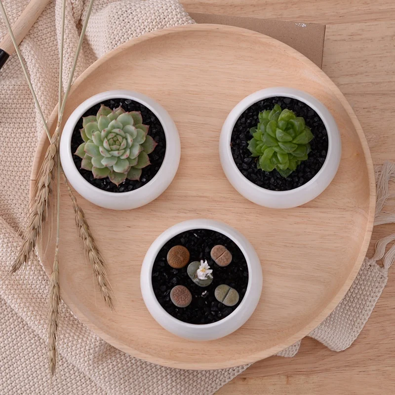 White oblate ceramic three-layer bamboo frame fleshy succulent plant flower pot