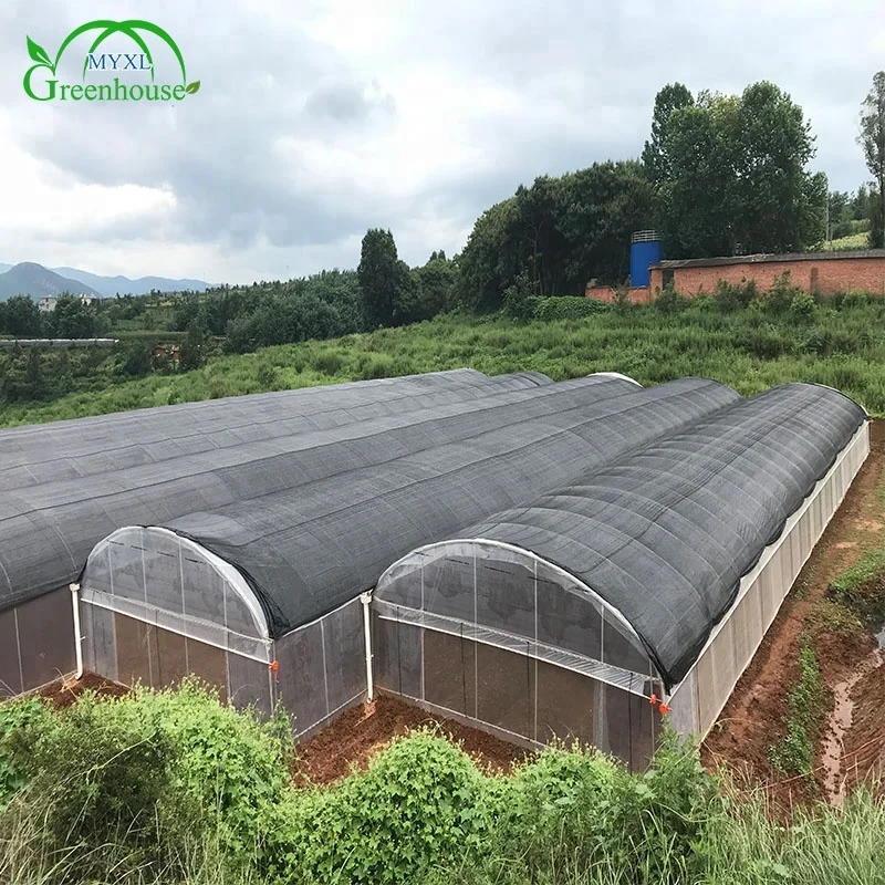 MYXL High Quality Anti-drip Plastic Film Cover Green Houses for Agriculture Production