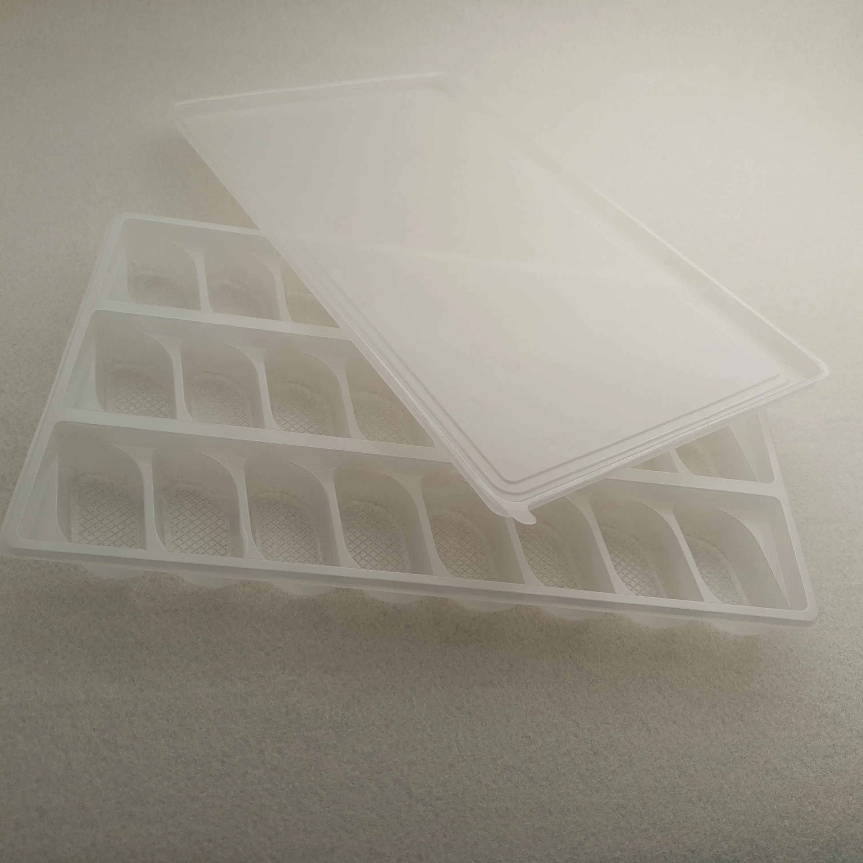 Blister Plastic Package Wonton Tray Container