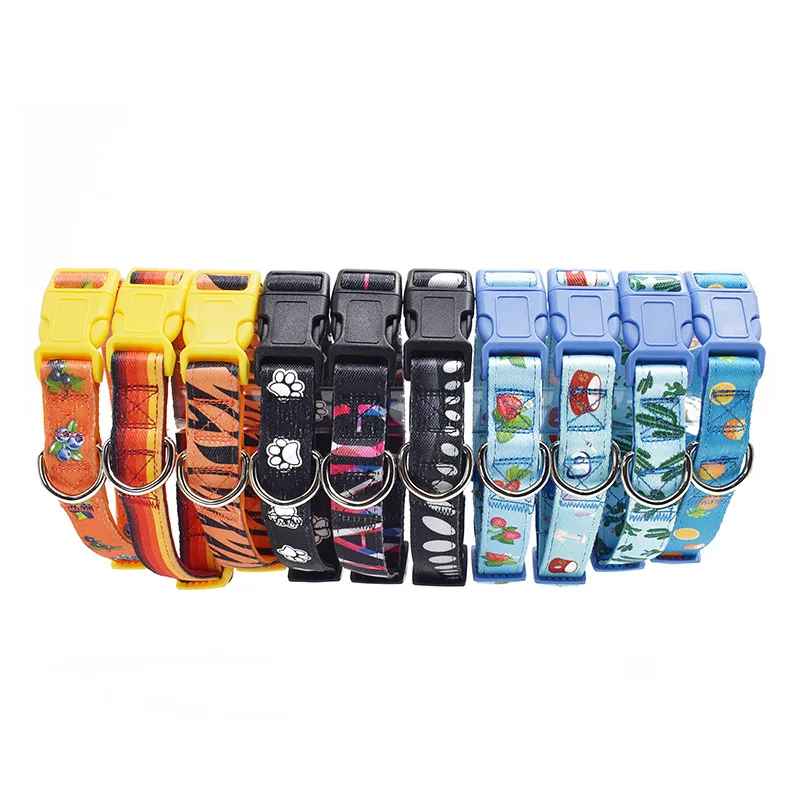 WY100 Pet Supplies Hot Sale Dog Training Collar