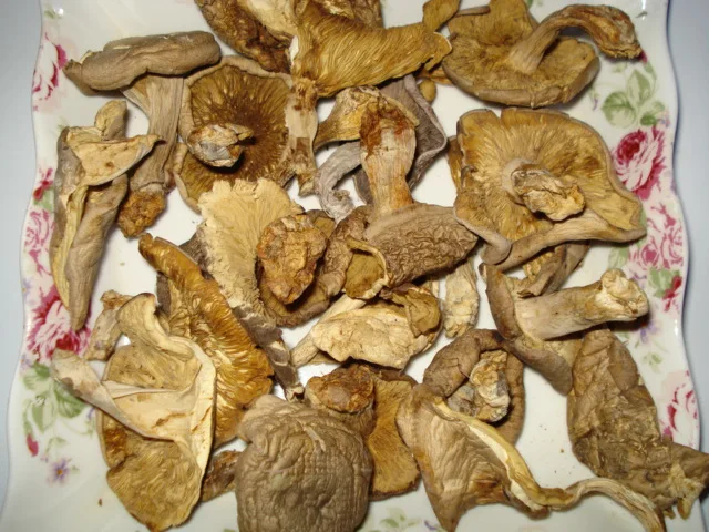 
Detan Dried Oyster Mushrooms 