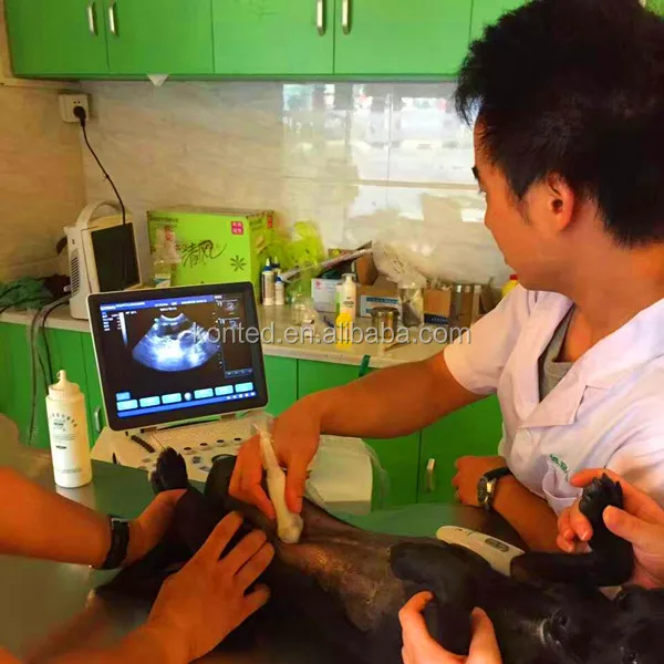 Konted Brand C6V Ecografo for Veterinary