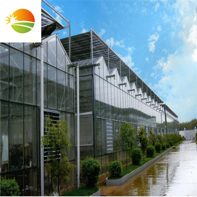 
Low cost high quality hydrophonic greenhouse 