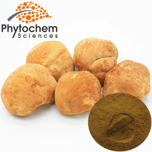 10%-50% натуральный гриб Львиной гривы/порошок герициума эрнацея