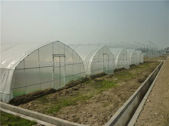Single Span Reinforced Plastic Film Tunnel Greenhouse for Horticultural Farming