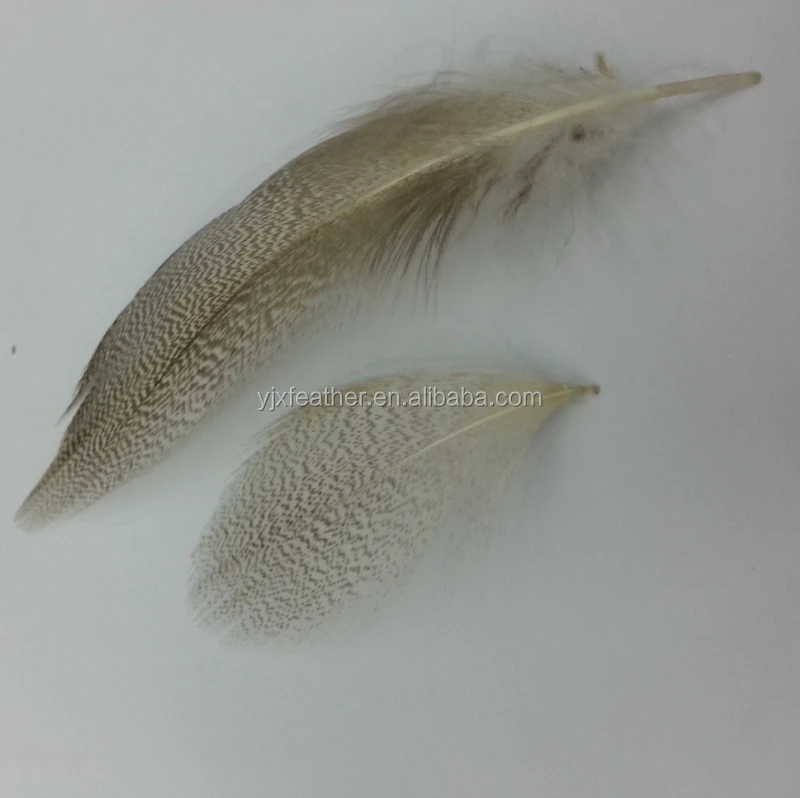 wilde gans S mallard flank CDC wild duck feather