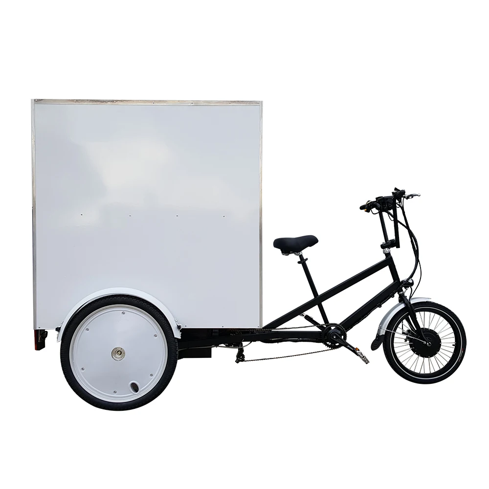 China Cheap Three Wheel Cargo Motorcycle Electric Utility Vehicle Transport Bike