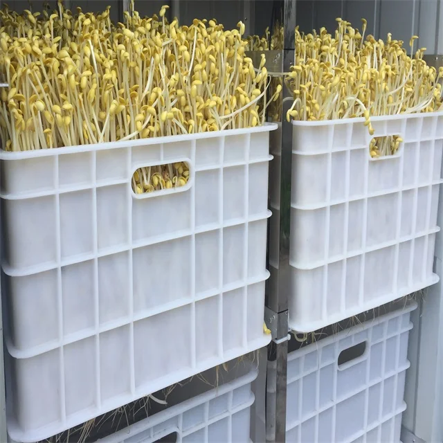 High quality automatic mung bean sprout growing washing machine for sale