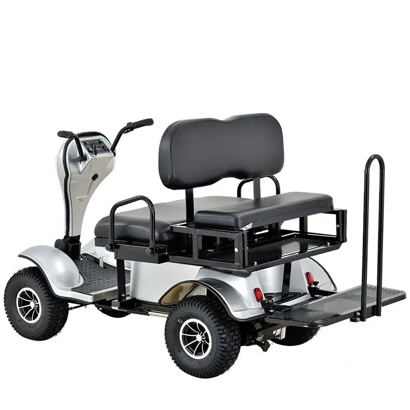 
2 Seats Disabled Scooter Handicapped Scooter Electric Mobility Scooter 