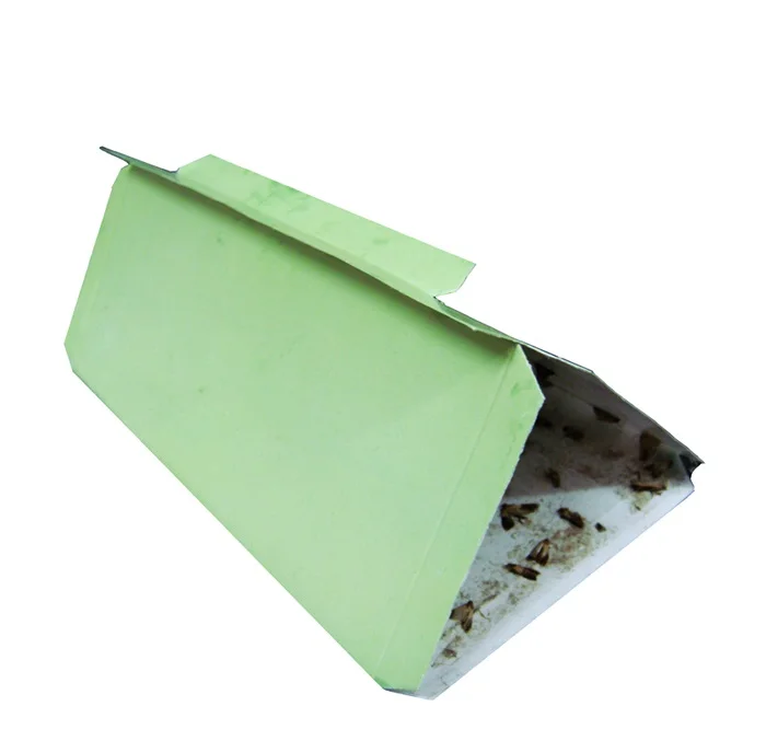 Plodia interpunctella насекомые феромоны для буфета ловушка для моли