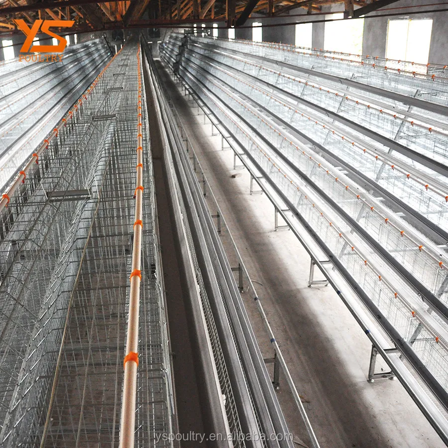 Automatic Bird Breeding Cages Layer Cages