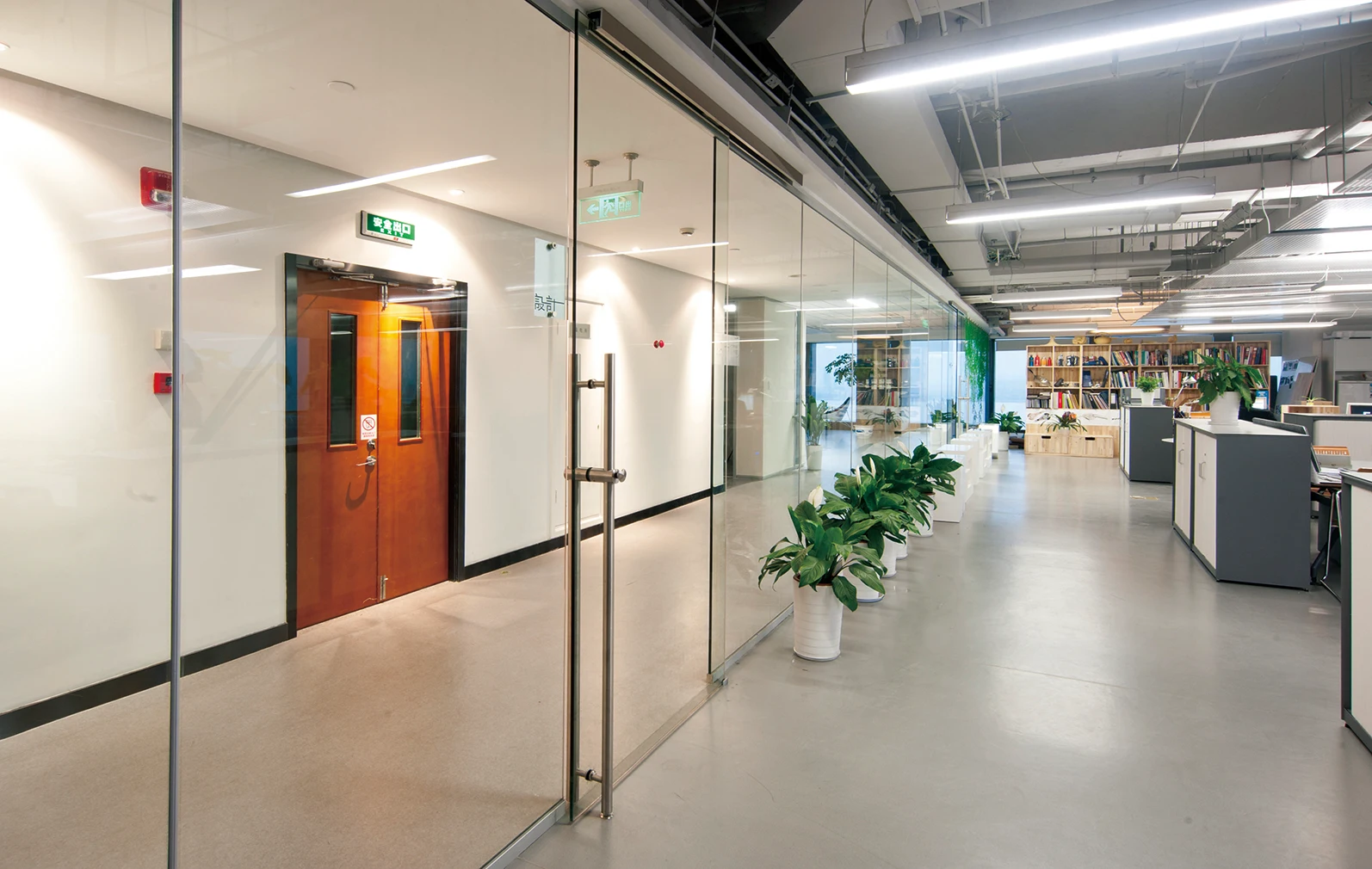 CE Standard 10mm Shower Door Damper Frosted Tempered Glass Bathroom Shower Enclosure