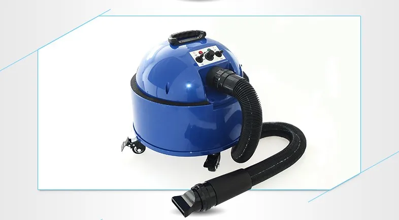 Chunzhou New Design Products Hot Sell Dog Double Motor Water Blower Pet Dryer E22-2300
