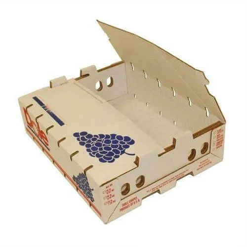 Индивидуальная упаковка для свежих киви ананасов папайи дракона гуавы Джека манго звезды