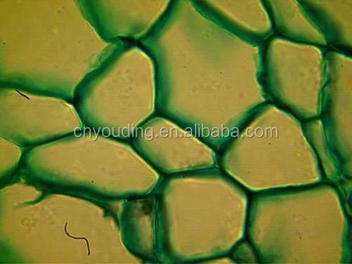 
Digital Camera Eyepiece - HiROCAM 3.0,5.0 &10MP 