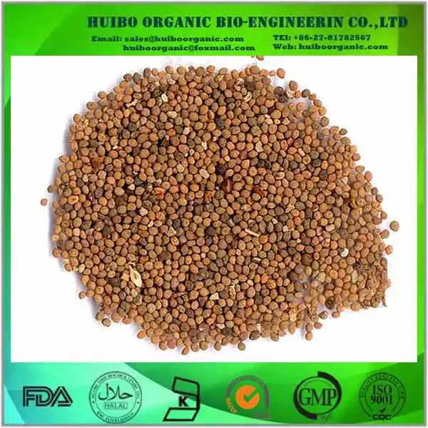  Экстракт семян кускуты китайской/Dodder Seed/экстракт