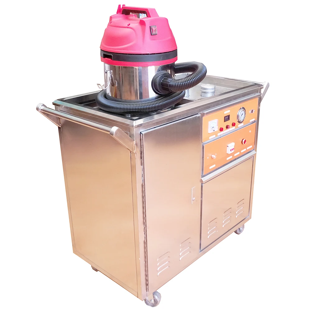 HF1160V Mobile Steam Vacuum Cleaner for Car Wash