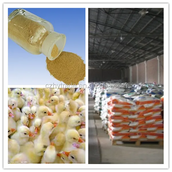 High protein feed yeast powder/brewer yeast feed grade