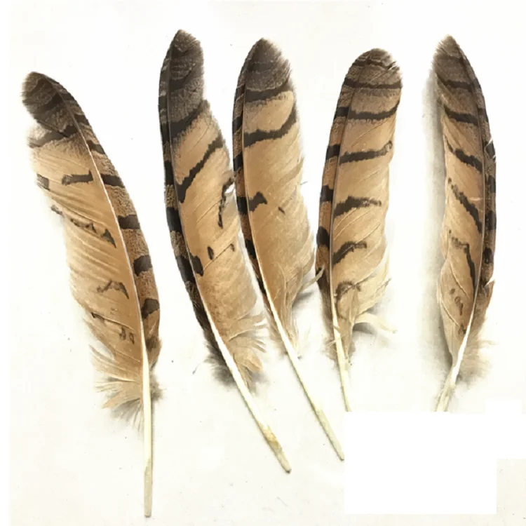 Natural owl Feathers 14-16 inch /35-40 cm carnival Diy costume