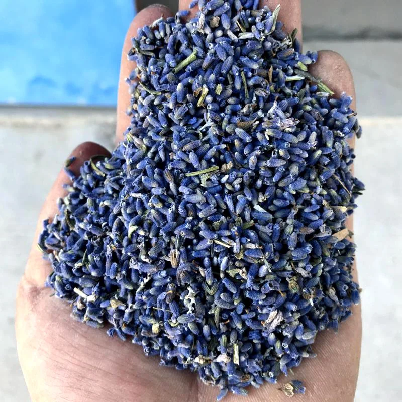 farm lavender harvester for sale toy and pillow filler lavender dried flower
