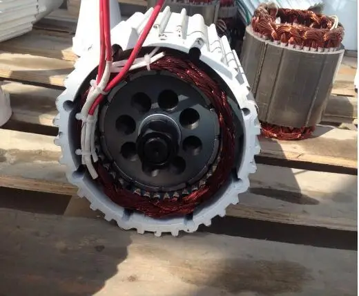 1kw homemade 3 phase ac permanent magnet synchronous generator price