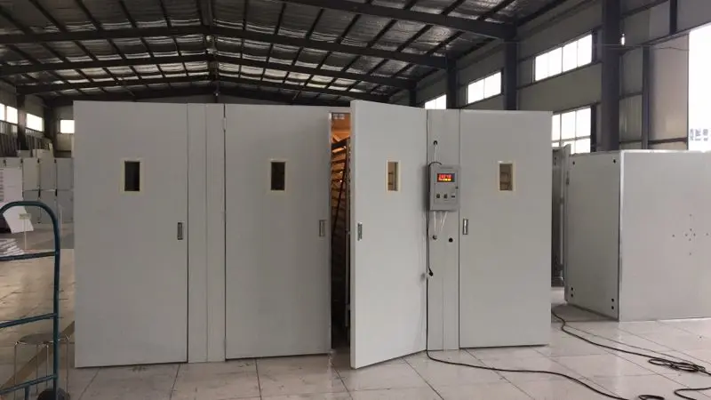 Chicken usage 10000eggs poultry egg incubator setter and hatcher