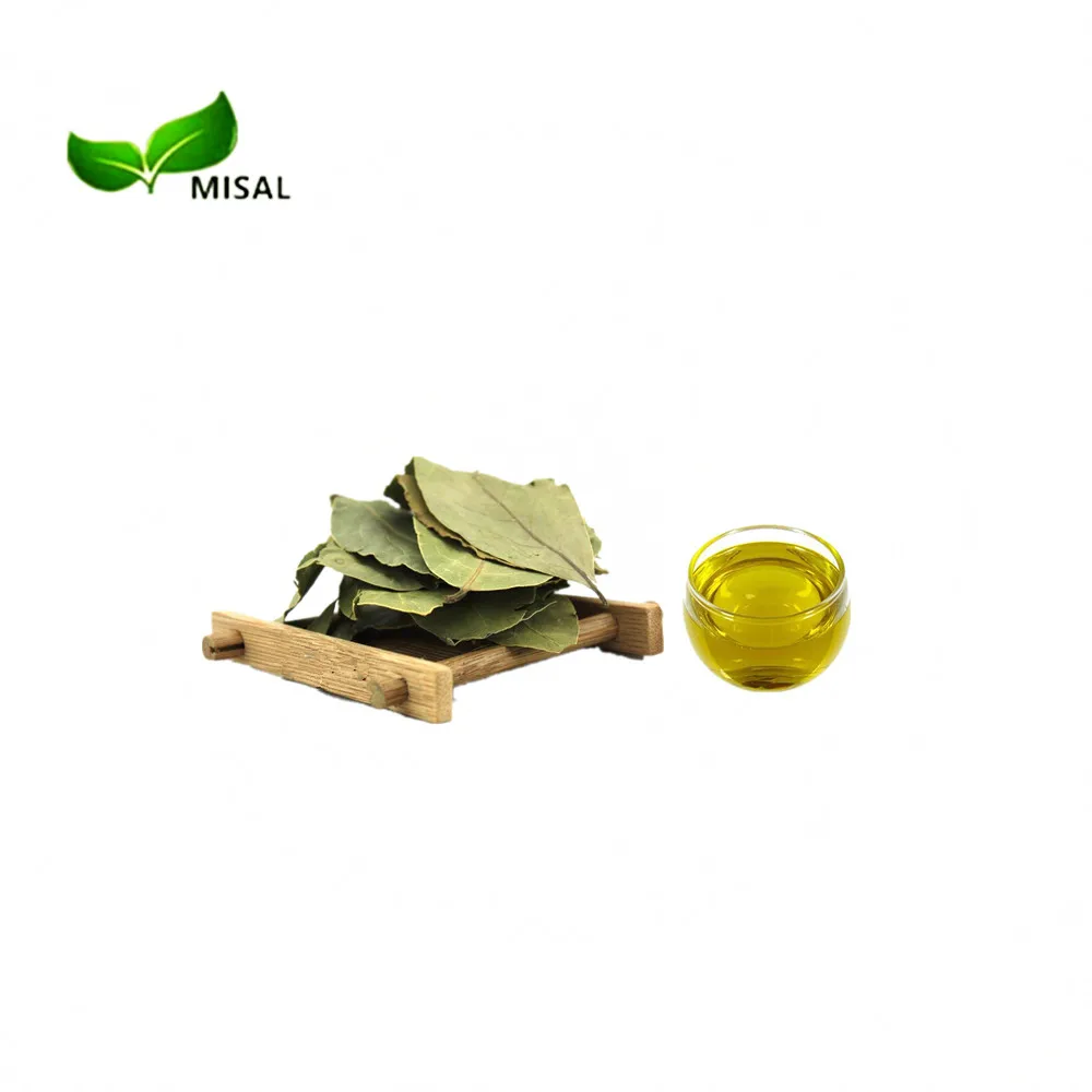 Manufacturer Supply Pure Geranium Essential Oil