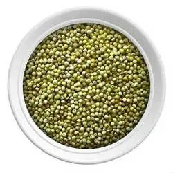 
Индийская баджара 