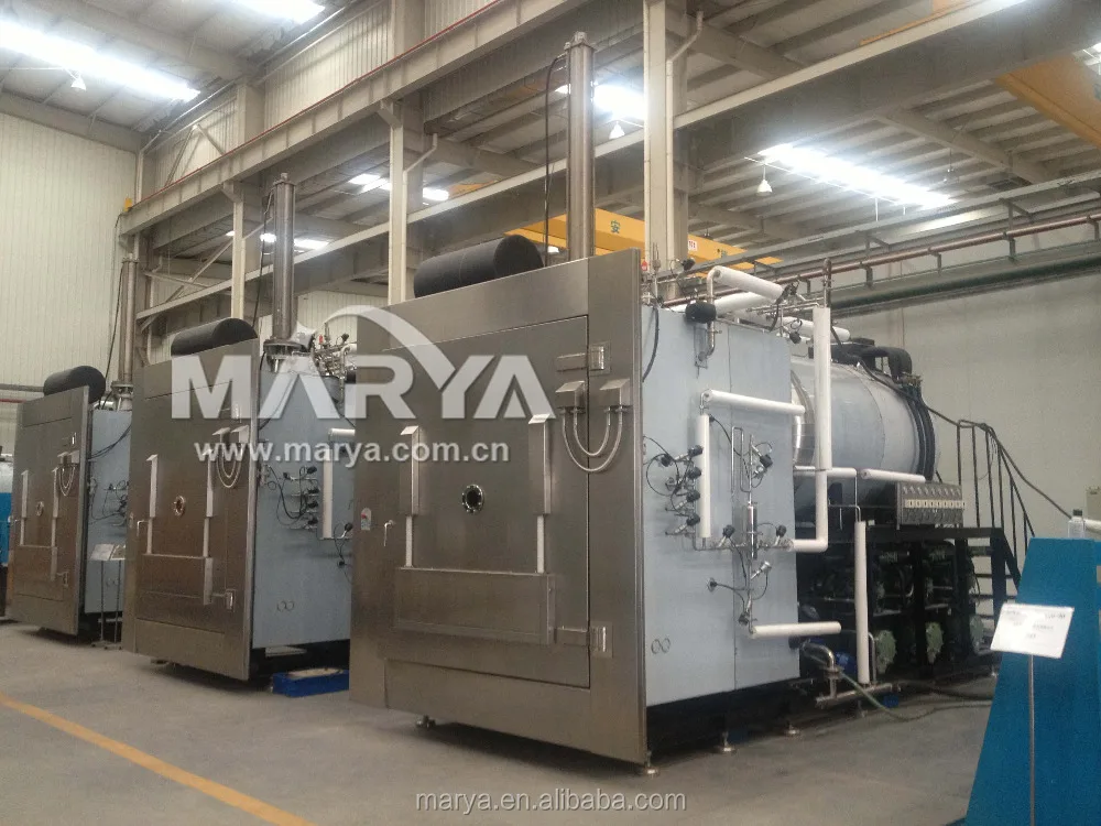High Quality Food Vacuum Freeze Drying Equipment