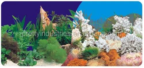 Professional aquarium background with wholesale price