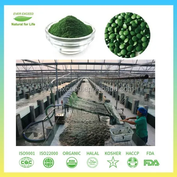 
Health Care Product Nutritional Supplements Chlorella 