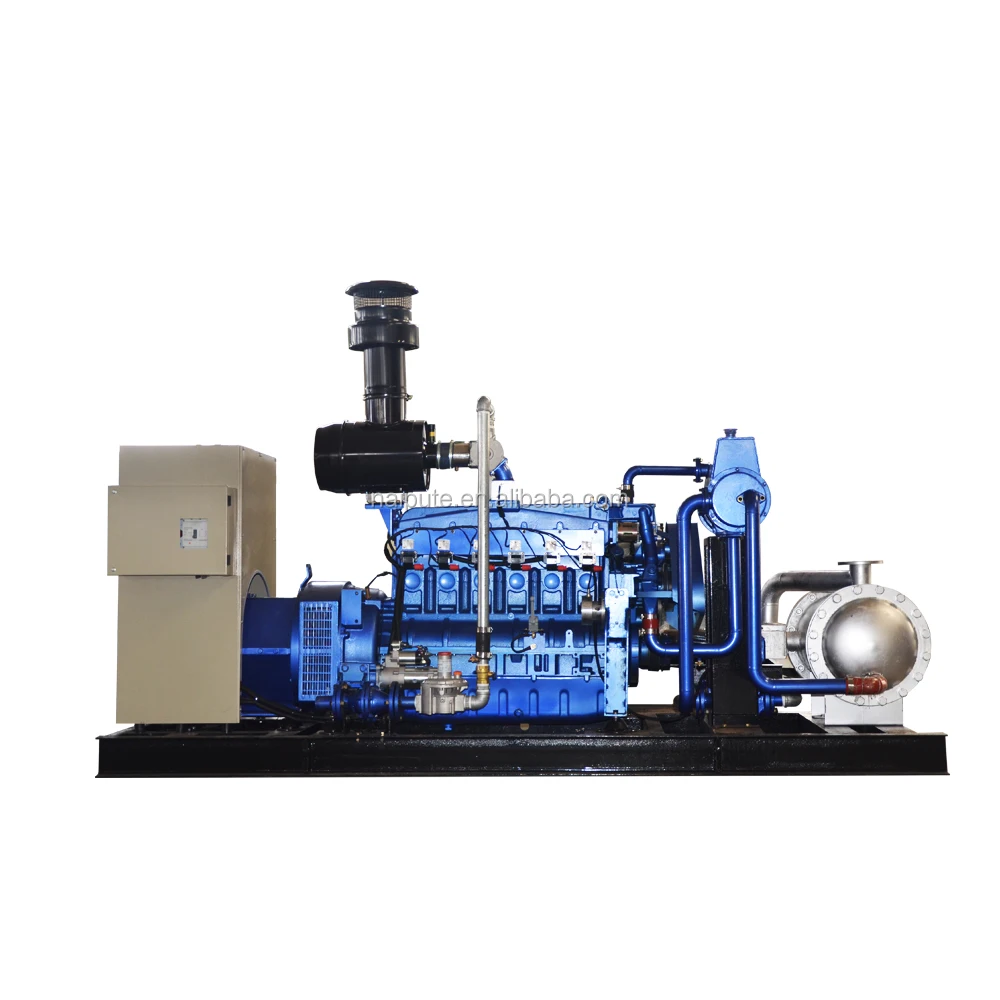 biogas /natural gas generator price 10kW-300kW.