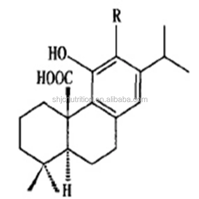 
Natural Dried Rosemary Extract Powder Carnosic Acid for Regulating Fat 