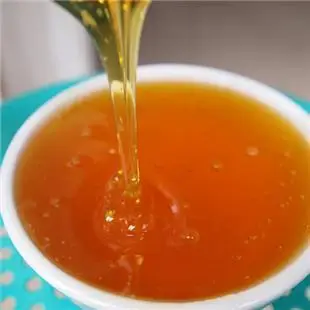 honey vacuum concentrator /honey extractor /honey making machine used to remove moisture of honey