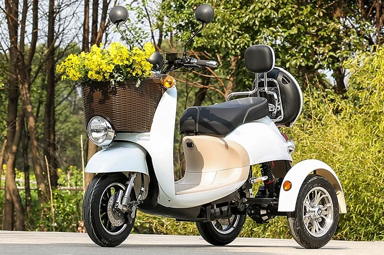 
Powerful 3 Wheel Mini Electric Mobility Scooter With 48V 500W Motor 