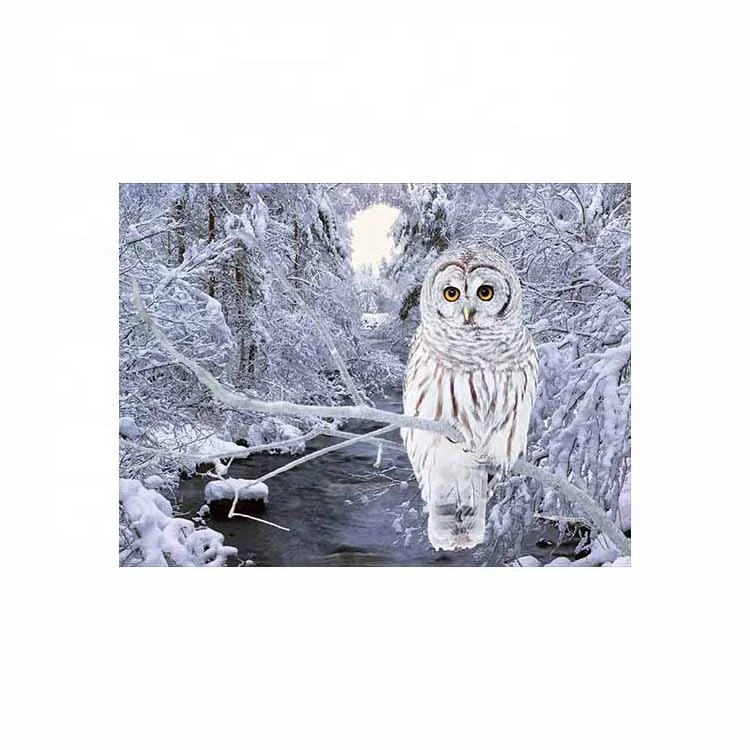 
High definition 3D lenticular picture printing cute owl picture for best price ready to ship 