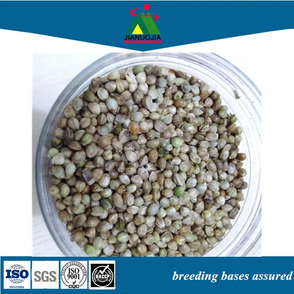 wholesale snack foods hempseed pigeons bird feed