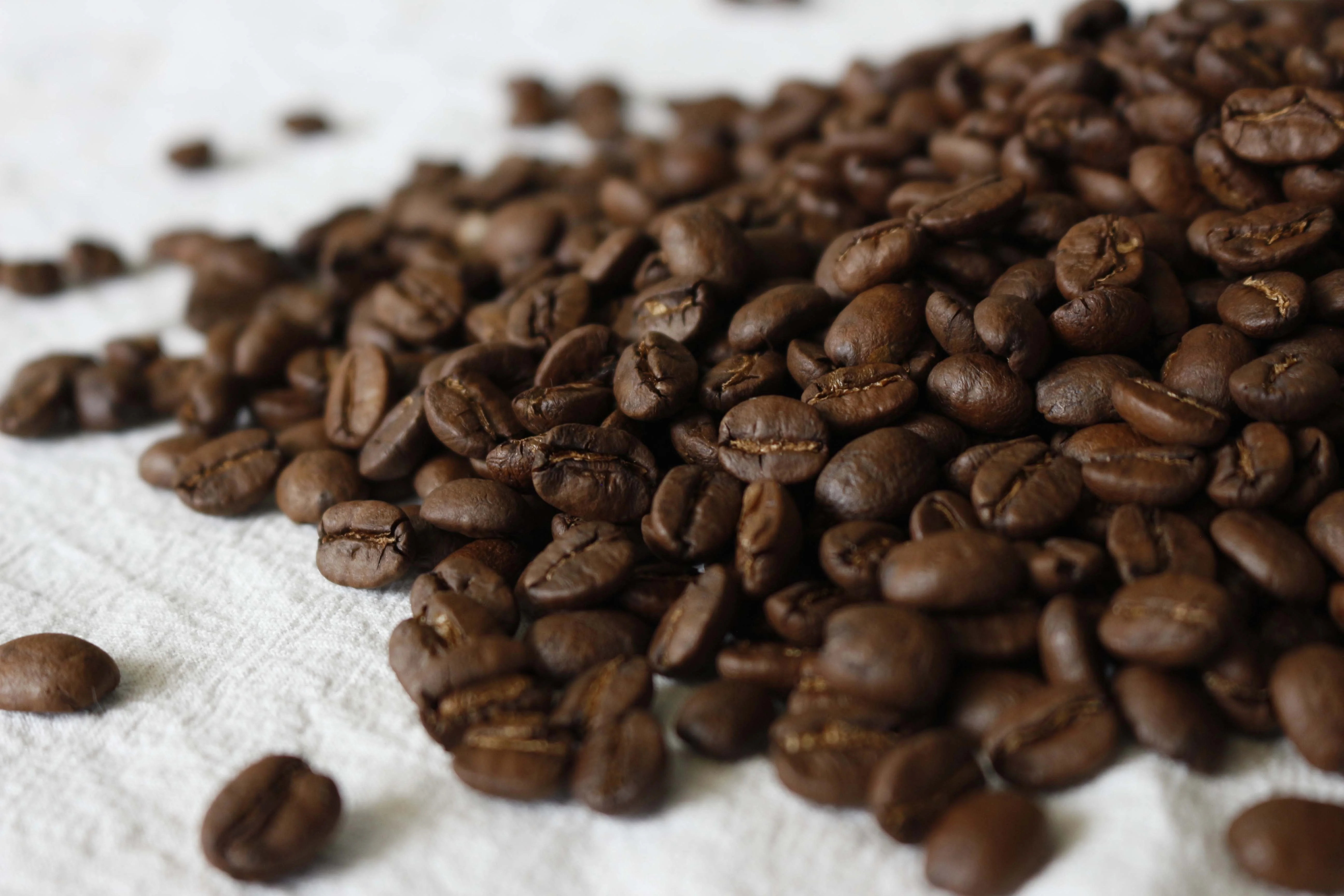 
Top Quality Grade AA Roasted Coffee Beans Sale cheap now 