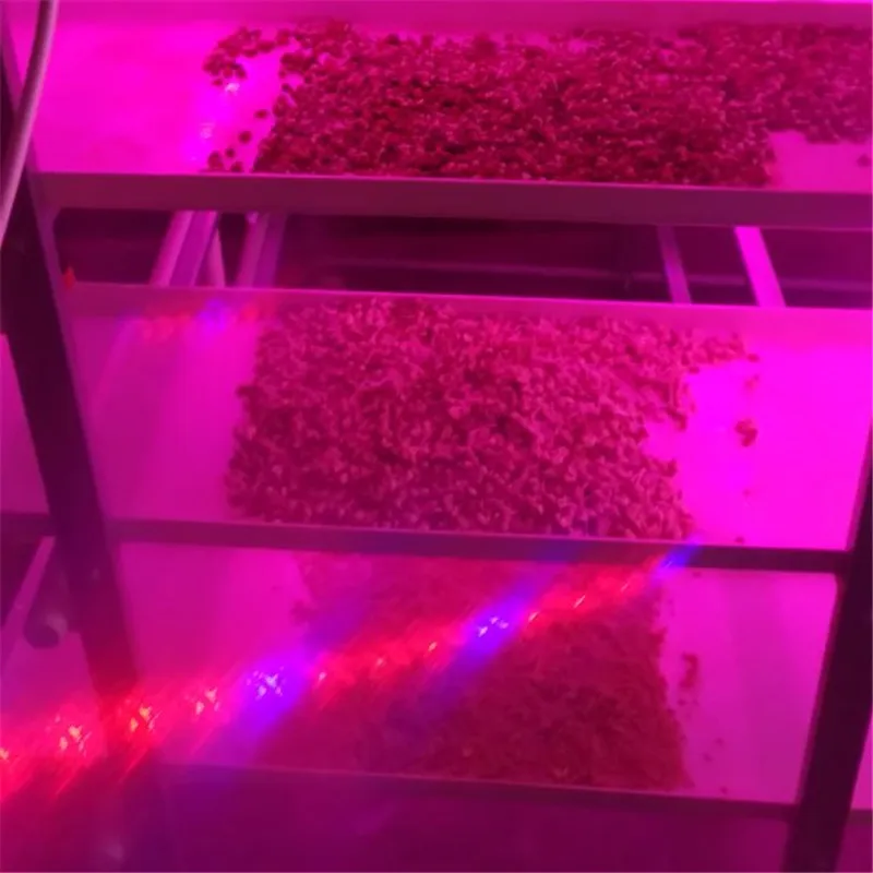 cheap price complete growing Microgreen rack system