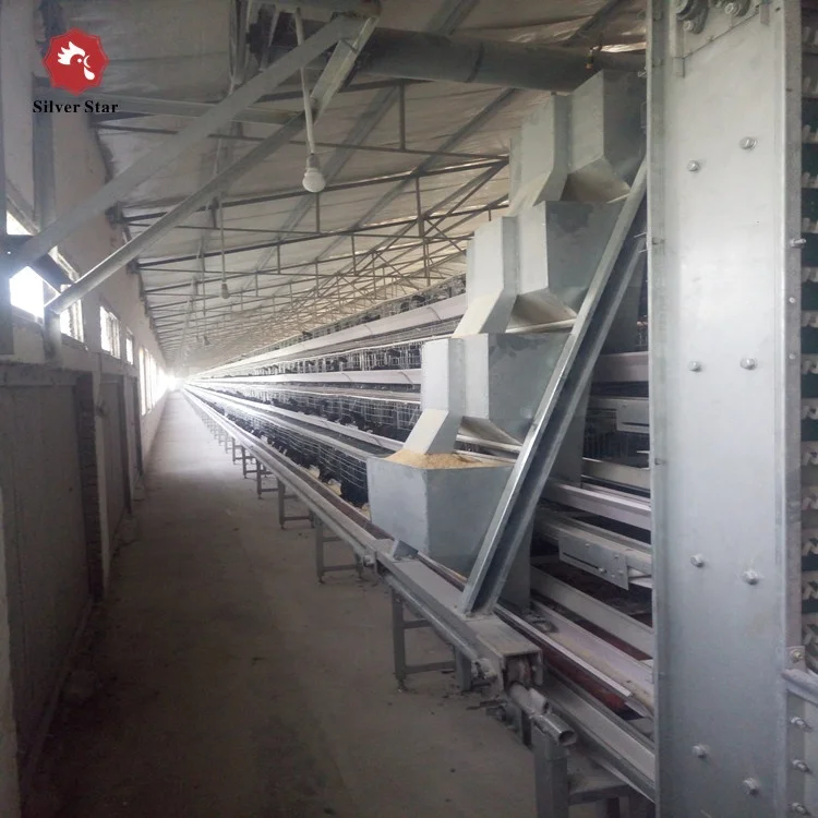 Automatic poultry feeders for egg layer chicken coop