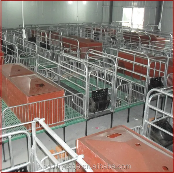 Wholesale Pig Feeding Equipment/Farrowing Crate For Sale