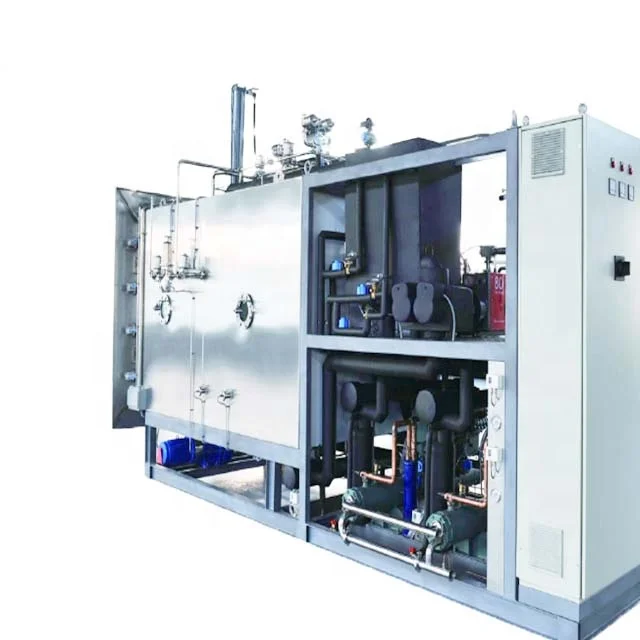 Professional pharma freeze drying machine