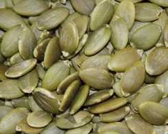 White color raw shine skin pumpkin seeds