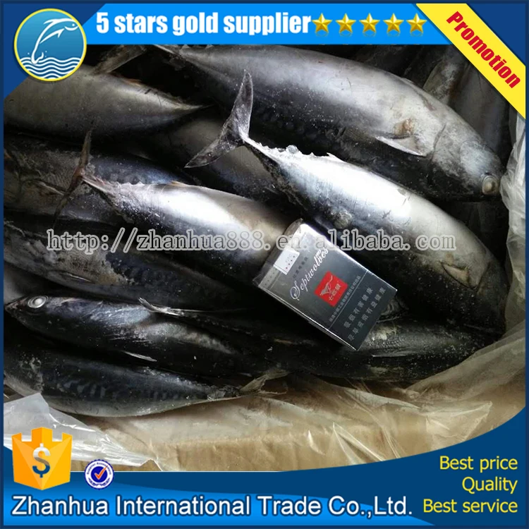 Замороженные бонито тунец 150 - 1500 г ребенок тунца размер