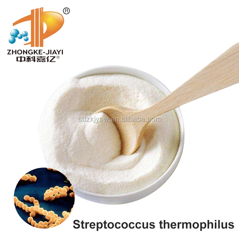Пищевой лактобакиллус ацидофилус Oem поставщик дополнение