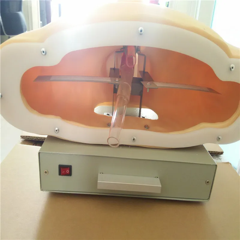 intubation with alarm device airway intubation school teaching training model manikin