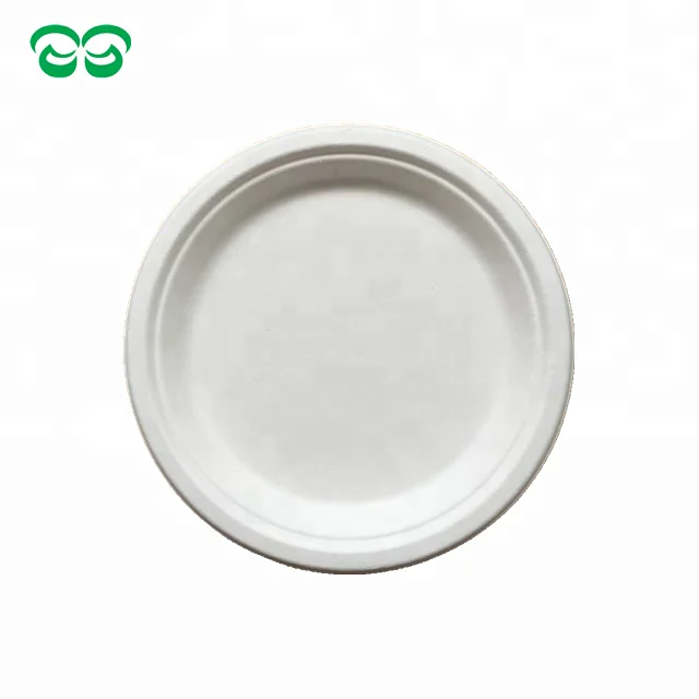 Factory Oval Disposable Sugarcane Bagasse Food Tray Biodegradable Paper Plates