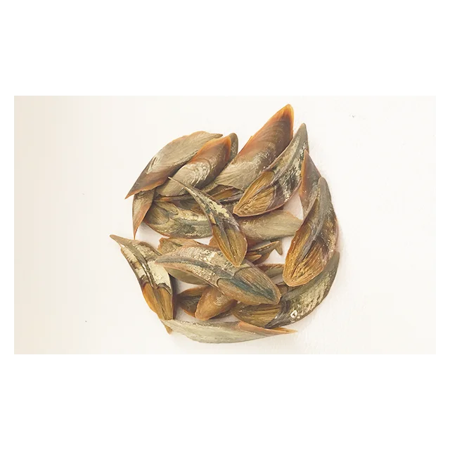  Лидер продаж в Южную Азию высокое качество ракушка для долларов